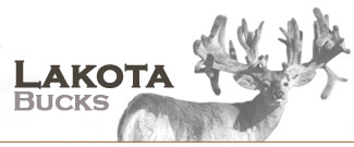 Lakota Buck Fawns